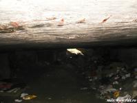 Imagine atasata: 25.03.2014 32-2.jpg